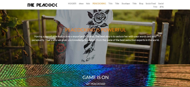 品牌網站示例二 品牌網站示例二